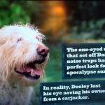 dog the walking dead